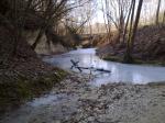 17/02/2012 - Paesaggi invernali