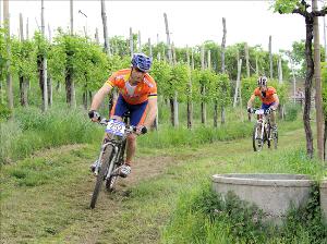 6° XC Tra le Torri - Farra di Soligo (TV)